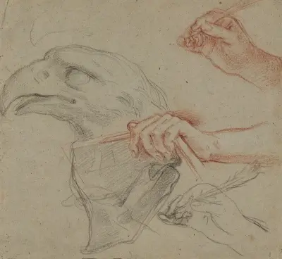 Study for an eagle’s head, three studies for a hand with a quill_and one study for a hand holding a book av Carlo Maratti