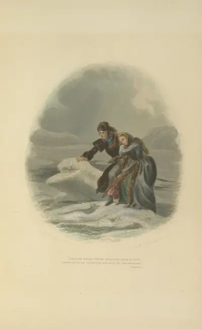 Satanstoe av Felix Octavius Carr Darley