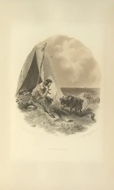 The Hermit of the Crater av Felix Octavius Carr Darley