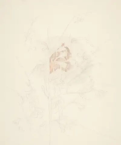 Flower av Charles Demuth