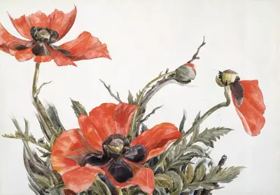 Röda vallmo av Charles Demuth