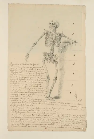 Cahiers d’Anatomie Pl.03 av Charles Monnet