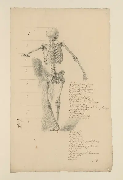 Cahiers d’Anatomie Pl.04 av Charles Monnet