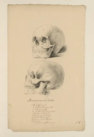 Cahiers d’Anatomie Pl.05 av Charles Monnet