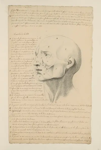 Cahiers d’Anatomie Pl.06 av Charles Monnet