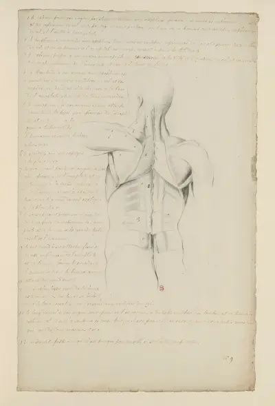 Cahiers d’Anatomie Pl.08, Charles Monnet