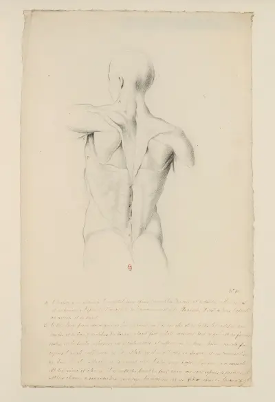 Cahiers d’Anatomie Pl.09(18. století), Charles Monnet