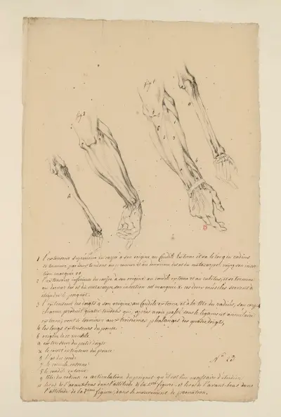 Cahiers d'Anatomie Pl.22, Charles Monnet