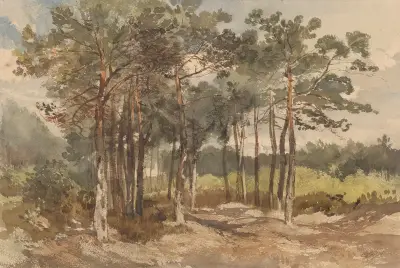 Baumgruppe in den Wäldern bei Driebergen von Charles Rochussen