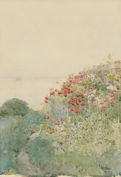Mohnfeld, Isles of Shoals von Childe Hassam