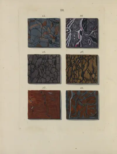 Avbildning av marmorsorter Pl.004 av Jan Christiaan Sepp