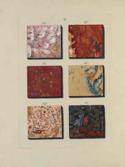 Avbildning av marmorsorter Pl.018 av Jan Christiaan Sepp