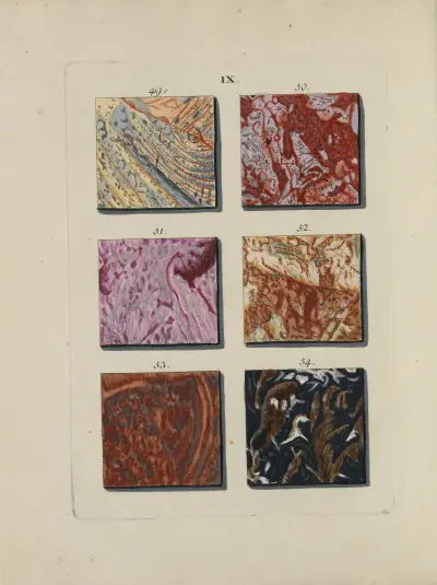 Afbeelding der marmor soorten Pl.022 av Jan Christiaan Sepp