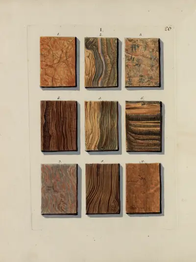 Avbildning av marmorsorter Pl.026 av Jan Christiaan Sepp
