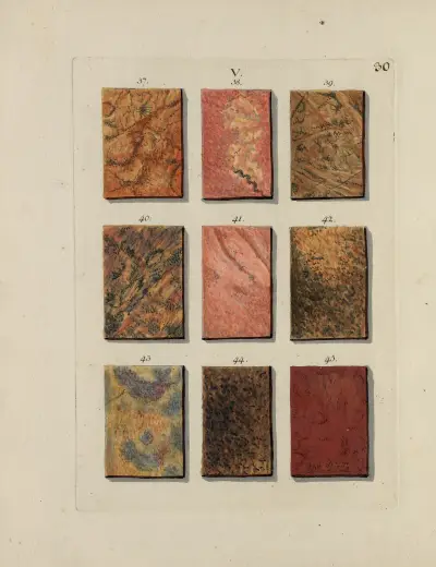 Bild av marmorsorter Pl.030 av Jan Christiaan Sepp