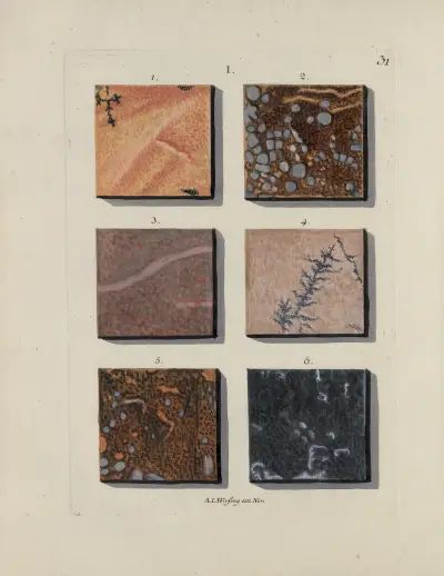 Afbeelding der marmor soorten Pl.031 av Jan Christiaan Sepp