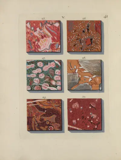Afbeelding der marmor soorten Pl.041 av Jan Christiaan Sepp