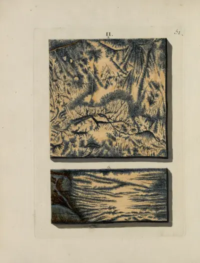 Afbeelding der marmor soorten Pl.051 av Jan Christiaan Sepp