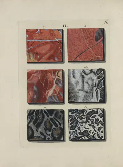 Avbildning av marmorsorter Pl.062 av Jan Christiaan Sepp