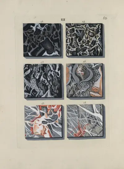 Afbeelding der marmor soorten Pl.063 av Jan Christiaan Sepp