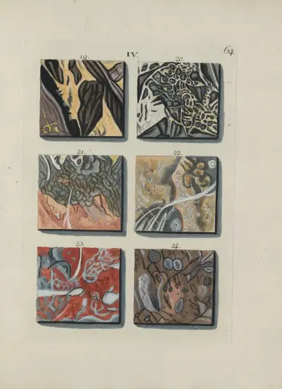 Avbildning av marmorsorter Pl.064 av Jan Christiaan Sepp