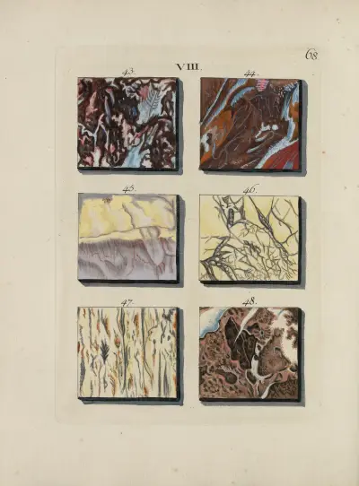Avbildning av marmorsorter Pl.068 av Jan Christiaan Sepp
