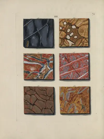 Afbeelding der marmor soorten Pl.071 av Jan Christiaan Sepp