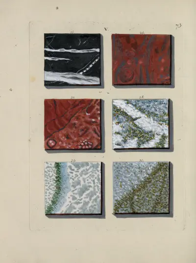 Afbeelding der marmor soorten Pl.073 av Jan Christiaan Sepp