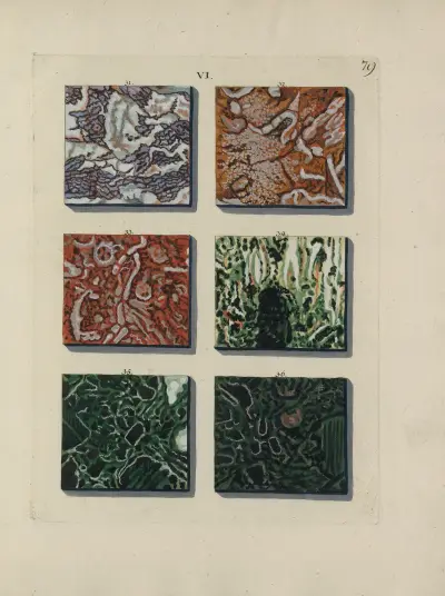 Bild av marmorsorter Pl.079 av Jan Christiaan Sepp