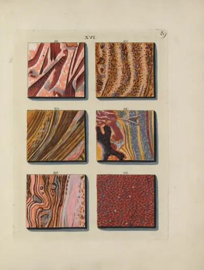 Afbeelding der marmor soorten Pl.089 av Jan Christiaan Sepp