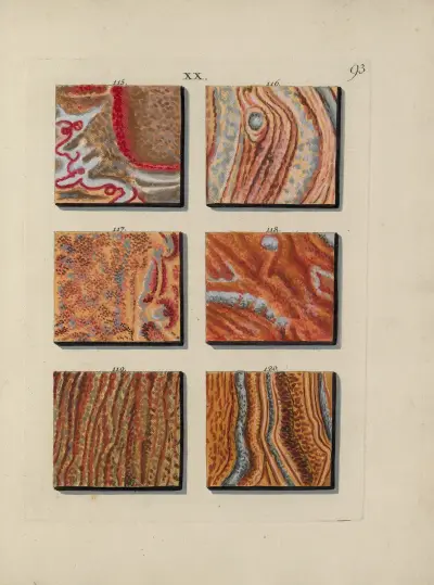 Afbeelding der marmor soorten Pl.093 av Jan Christiaan Sepp