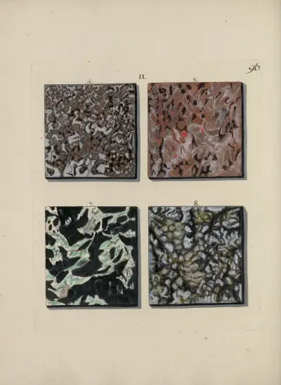Bild av marmorsorter Pl.096 av Jan Christiaan Sepp