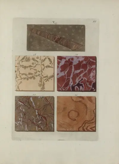 Bild av marmorsorter Pl.099 av Jan Christiaan Sepp