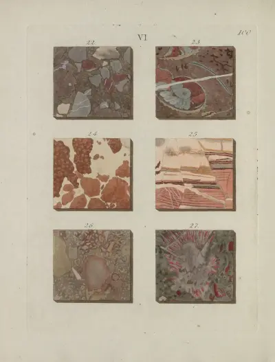 Avbildning av marmorsorter Pl.100 av Jan Christiaan Sepp