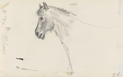 Pferdekopf von Christian Krohg