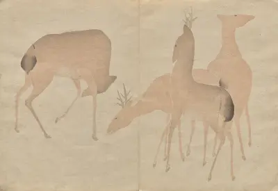 The Kōrin Picture Book Pl.06 av Hōchū Nakamura