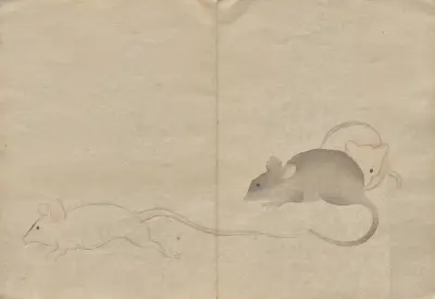 The Kōrin Picture Book Pl.26 av Hōchū Nakamura