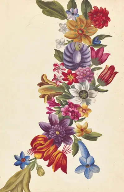 Främmande växter (Plantes etrang), plansch 114 av Claude Aubriet