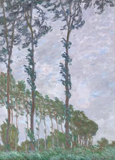 Wind Effect, Series of The Poplars av Claude Monet