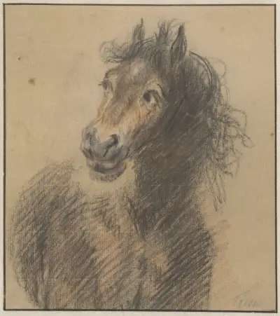Häst, framifrån, tittande åt vänster av Cornelis Troost