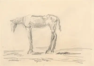Abgemagertes Pferd von Cyprián Majerník