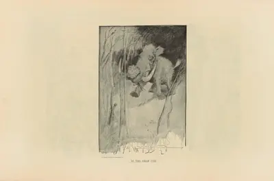 Im Jahr eins von Charles Dana Gibson