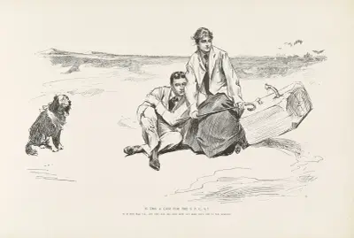 Is this a case for the S.P.C.A av Charles Dana Gibson