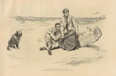 Is this a case for the S. P. C. A. av Charles Dana Gibson