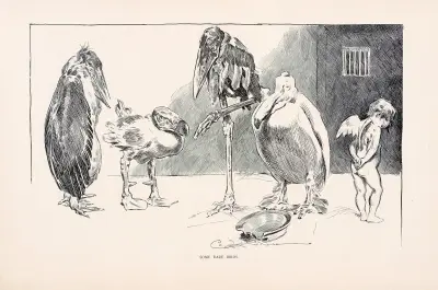 Sällsynta fåglar av Charles Dana Gibson