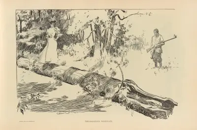 Den kloka morkullan av Charles Dana Gibson