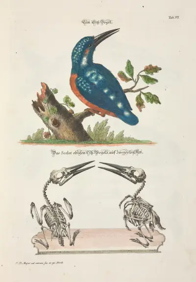 Angenehmer und nützlicher Zeit-Vertreib Pl.006 av Johann Daniel Meyer
