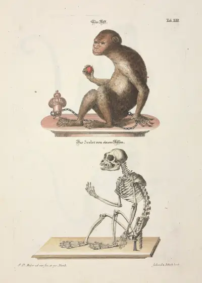 Angenehmer und nützlicher Zeit-Vertreib Pl.013 av Johann Daniel Meyer