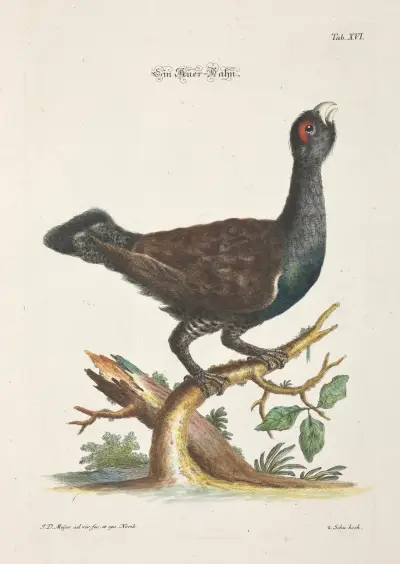 Angenehmer und nützlicher Zeit-Vertreib Pl.016 av Johann Daniel Meyer
