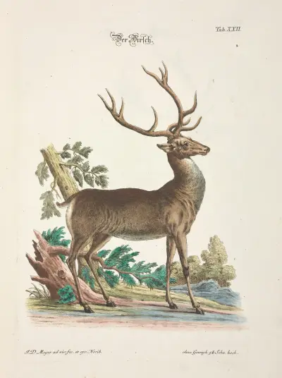 Angenehmer und nützlicher Zeit-Vertreib Pl.022 av Johann Daniel Meyer